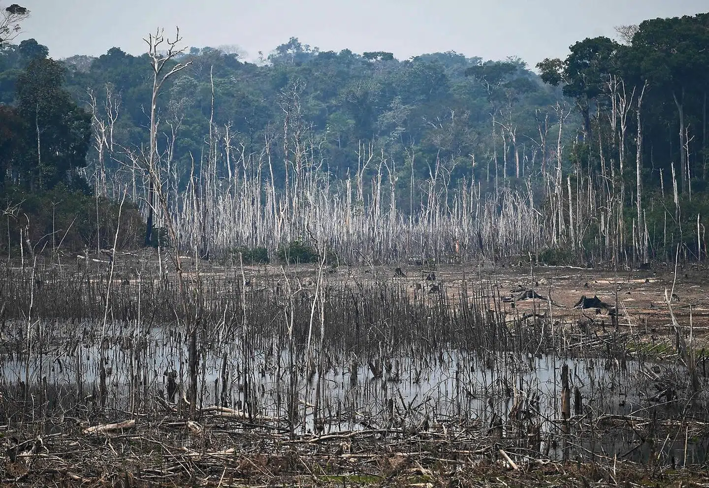 Hvad der engang var frodig, grøn regnskov er i dag store udbrændte områder. Billedet er taget i området uden for Porto Velho, der er hovedstad i den brasilianske delstat Rondônia.