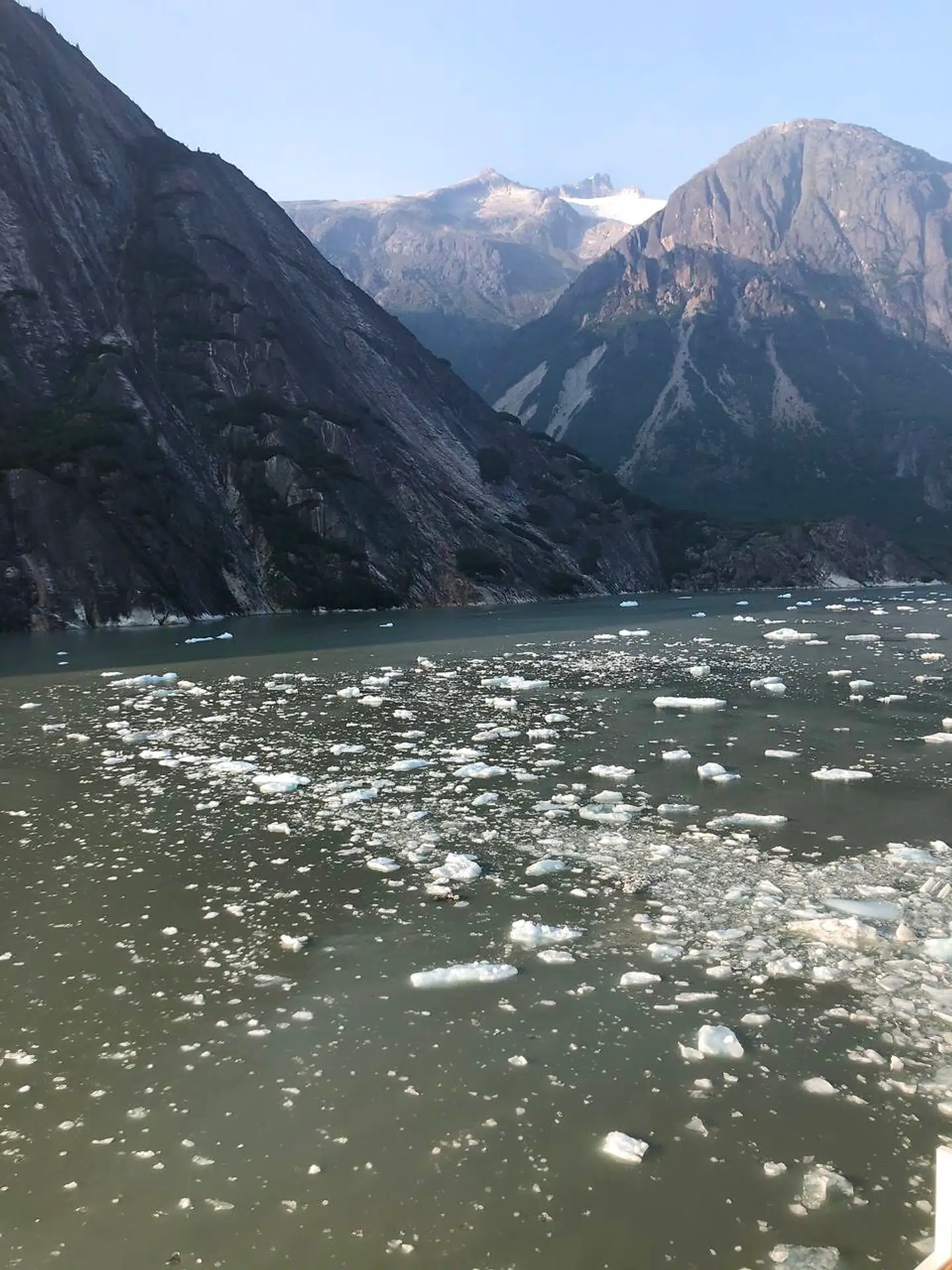 Havet er frosset til om vinteren i The Inside Passage. Men i denne, den varmeste sommer nogensinde, flød isklumperne meget spredt.