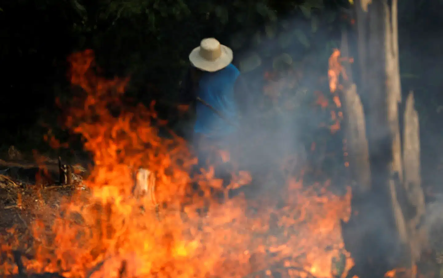 Indtil videre er der registreret over 73.000 skovbrande i Amazonas.