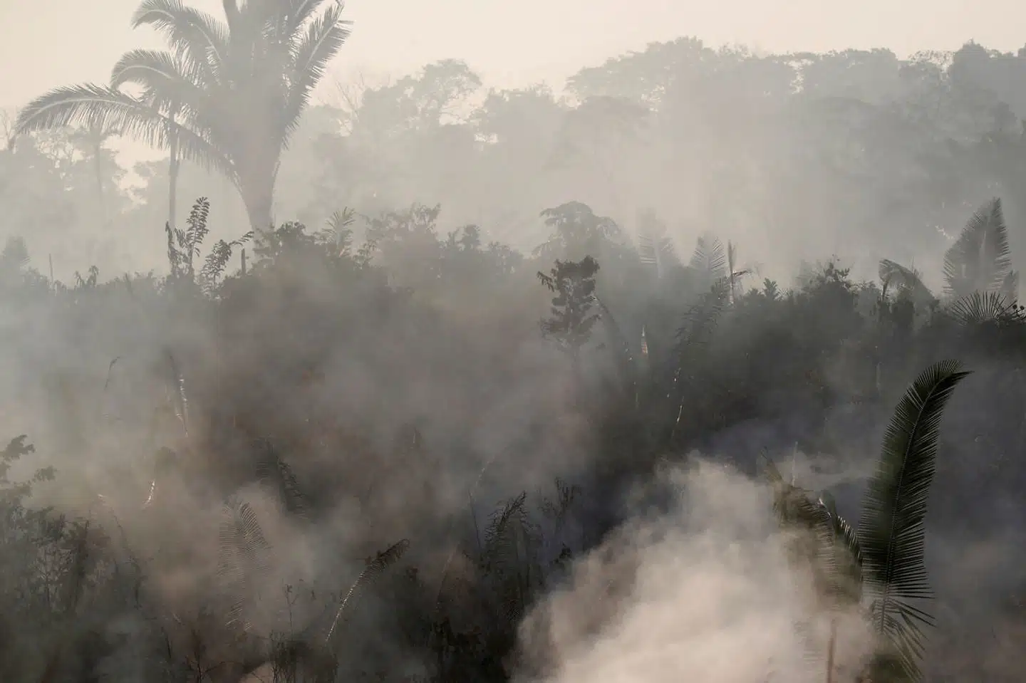 Røgskyer i den brændende Amazonas tæt på Humaita i Brasilien.