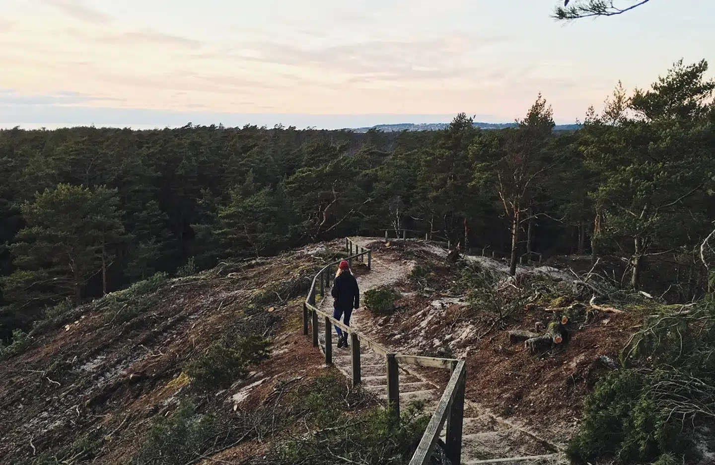 Den sandede jord har gennem tiderne gjort det svært at bo i Haverdal, men nu er den årsag til en smuk sandklit - og ikke mindst fire kilometer sandstrand. (Foto: Visit Sweden)