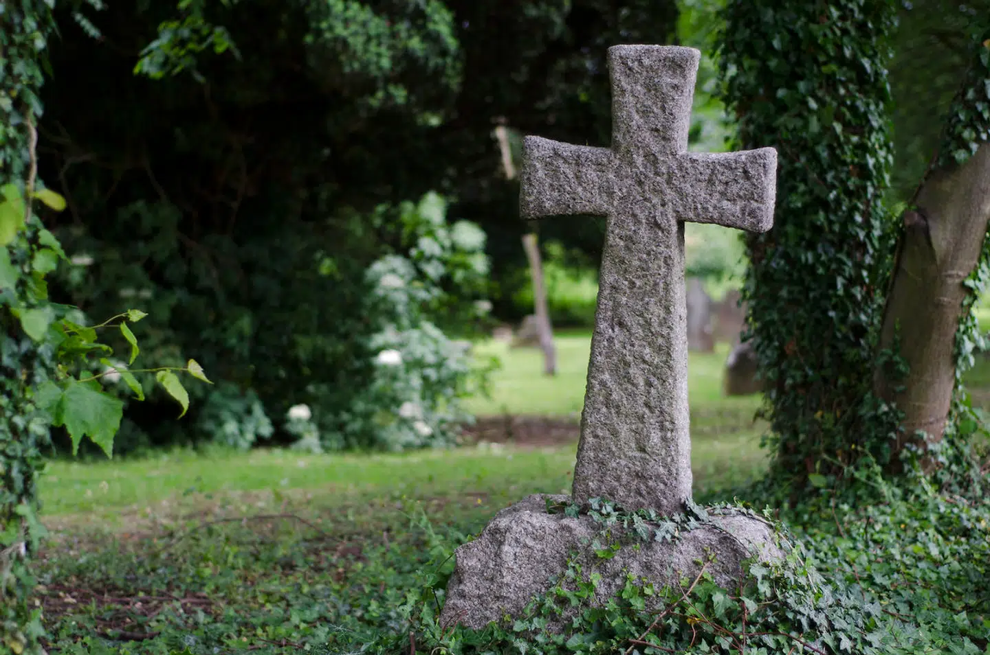 »Du underkender og nedgør mig med dine synspunkter baseret på forlængst forældet teori om meritokratiske samfund.«