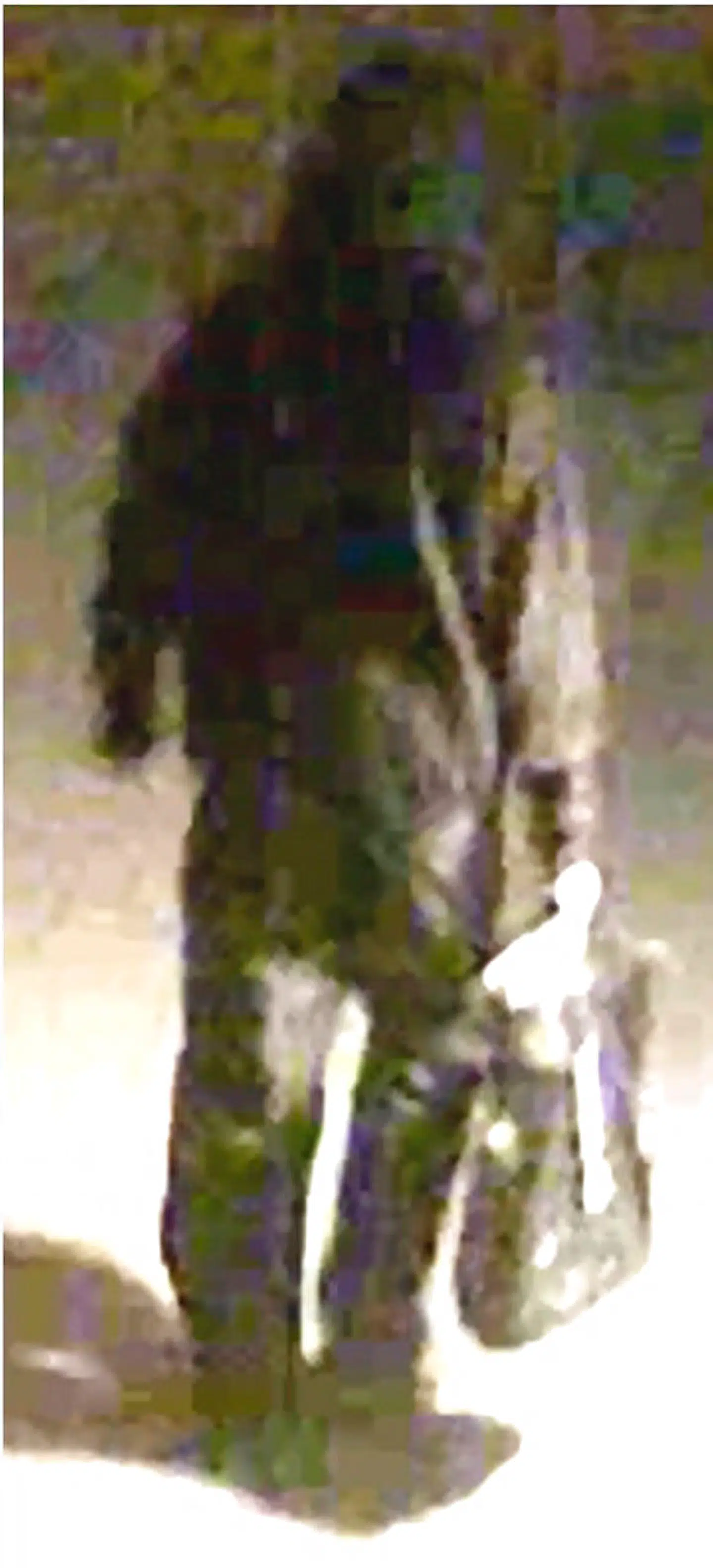 Københavns Politi efterlyser en mand i forbindelse med den eksplosion, der i nat ramte nærpolitistationen i Hermodsgade. Han har båret mørkt tøj og en plastikpose formentlig fra Rema 1000