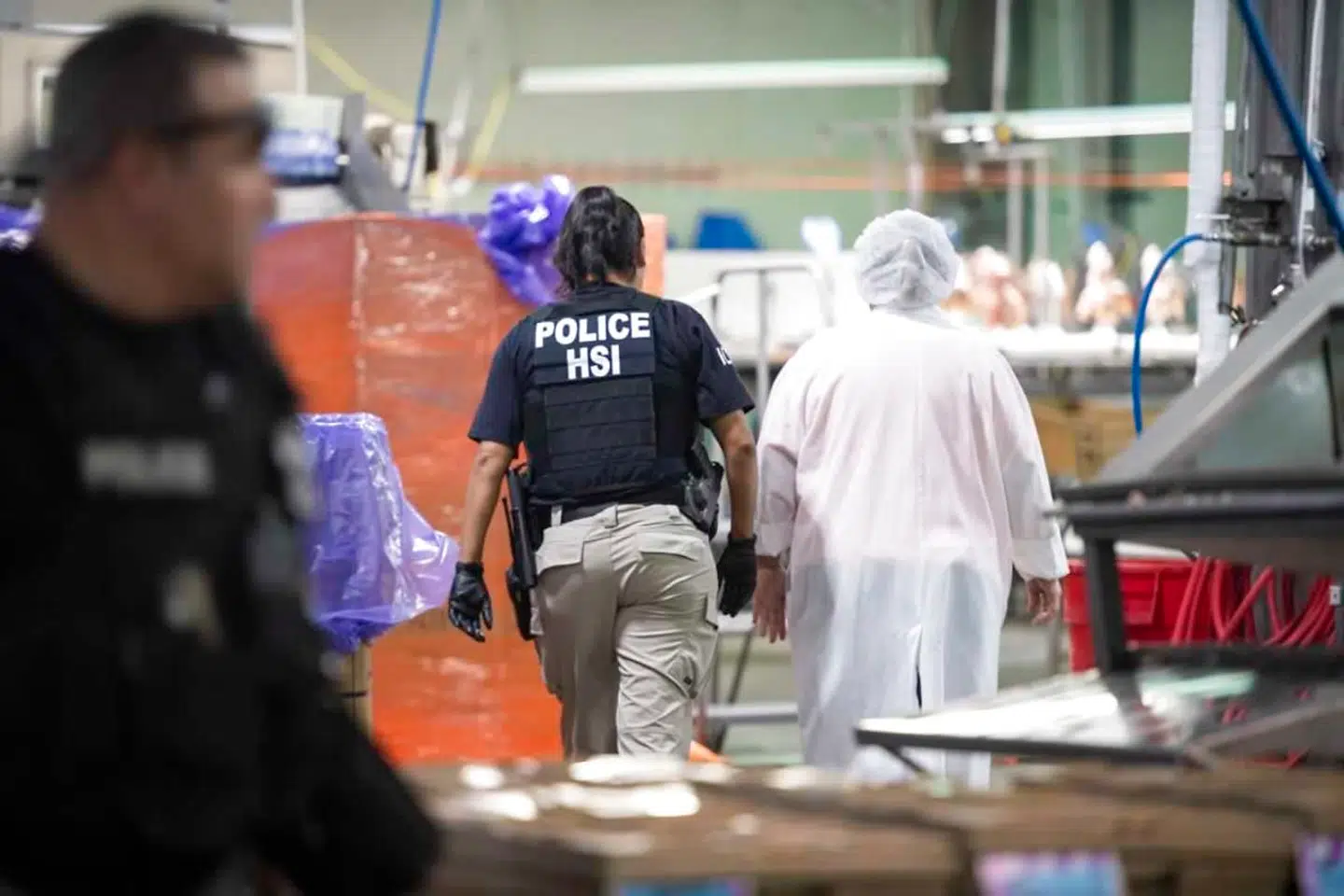Mange blev anholdt i deres arbejdstøj, der på fjerkræslagterier indebærer hårnet, under razziaen. (Photo by HO / US Immigration and Customs Enforcement / AFP) /