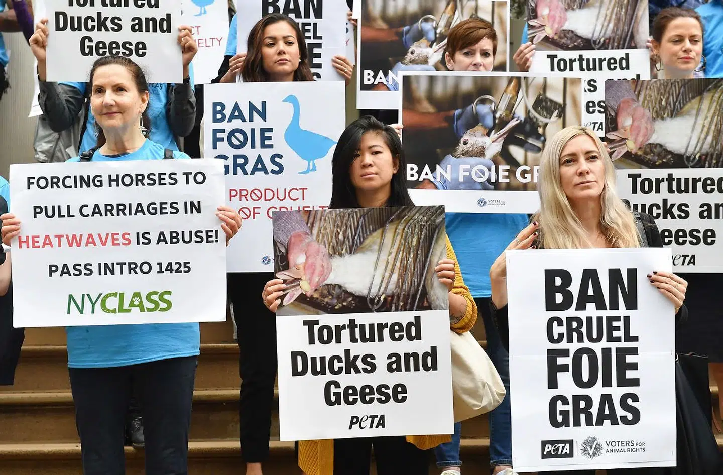 »Modstanden mod foie gras handler ikke om veganske aktivister. Det er ikke en værdikamp eller en klassekamp. Den handler ikke om statens indgriben over for individets personlige frihed. Det handler om, hvordan vi behandler levende, sansende væsner. Det handler om menneskers empati over for dyr og om hvordan vi vil opfattes som samfund,« skriver Britta Riis, direktør i Dyrenes Beskyttelse.