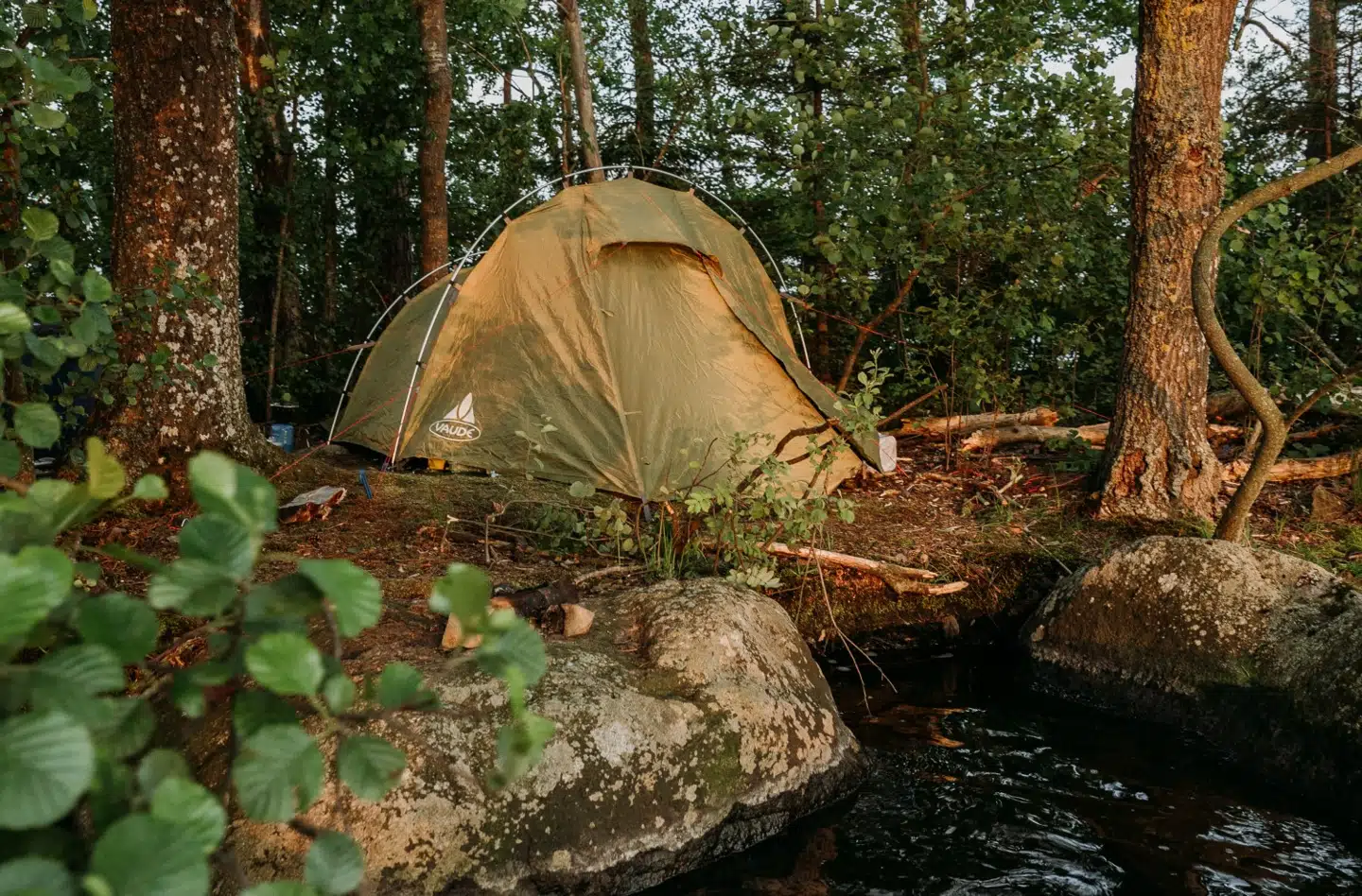 Vi har her slået teltet op på en af de mange øde øer i Ivösjön. (Foto: sarahinthegreen.com)