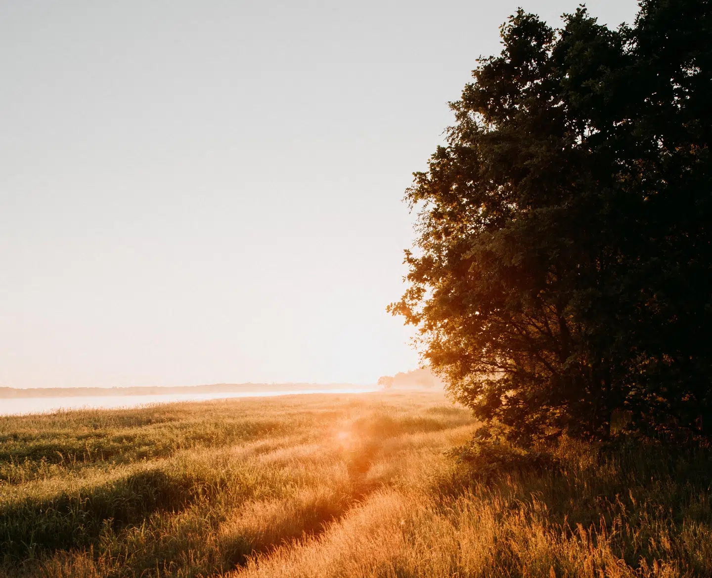 Morgensolen er helt fantastisk, når du vågner midt i naturen i vandreområdet i Hovdala. (Foto:; sarahinthegreen.com)