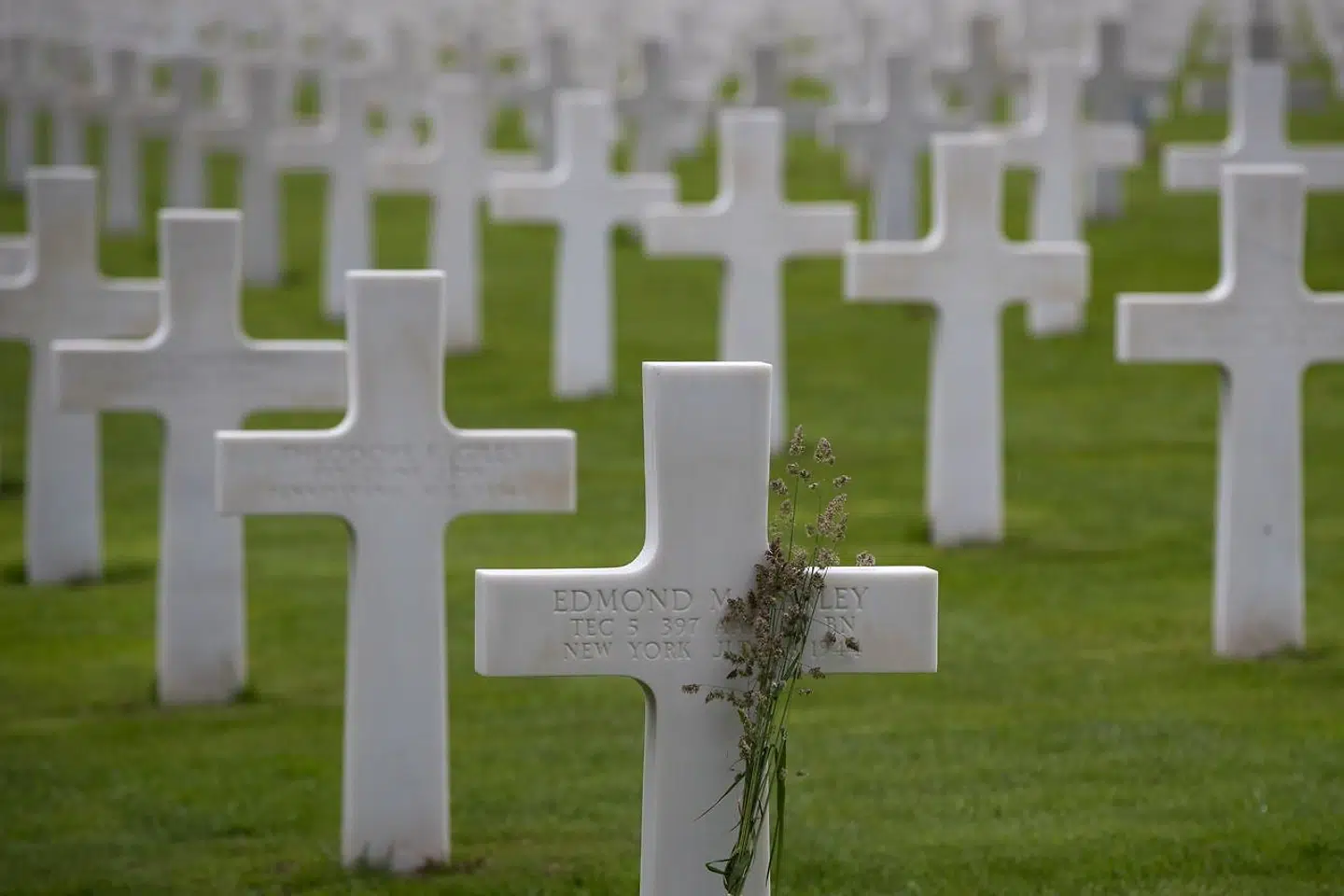 Billede taget i forbindelse med 75-året for D-Dag.