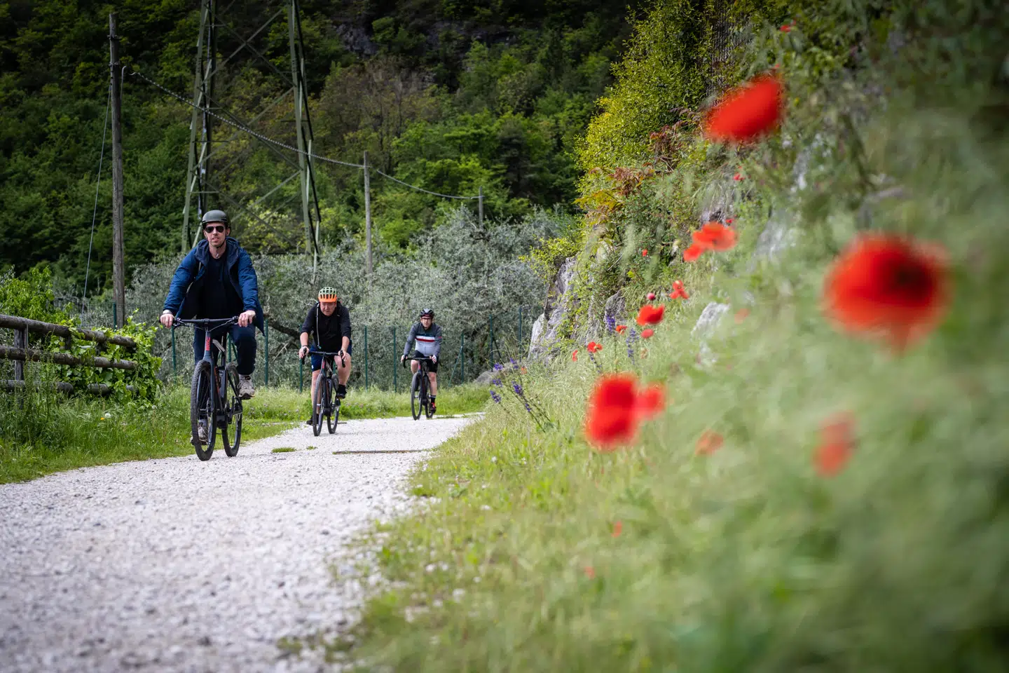 Elcykler hitter i hele Europa. I lande som Belgien og Sverige er salget på får steget med hhv. 45 og 50 pct. – og i Frankrig med imponerende 90 pct. Kun Danmark halter bagud med en stigning på ni pct.