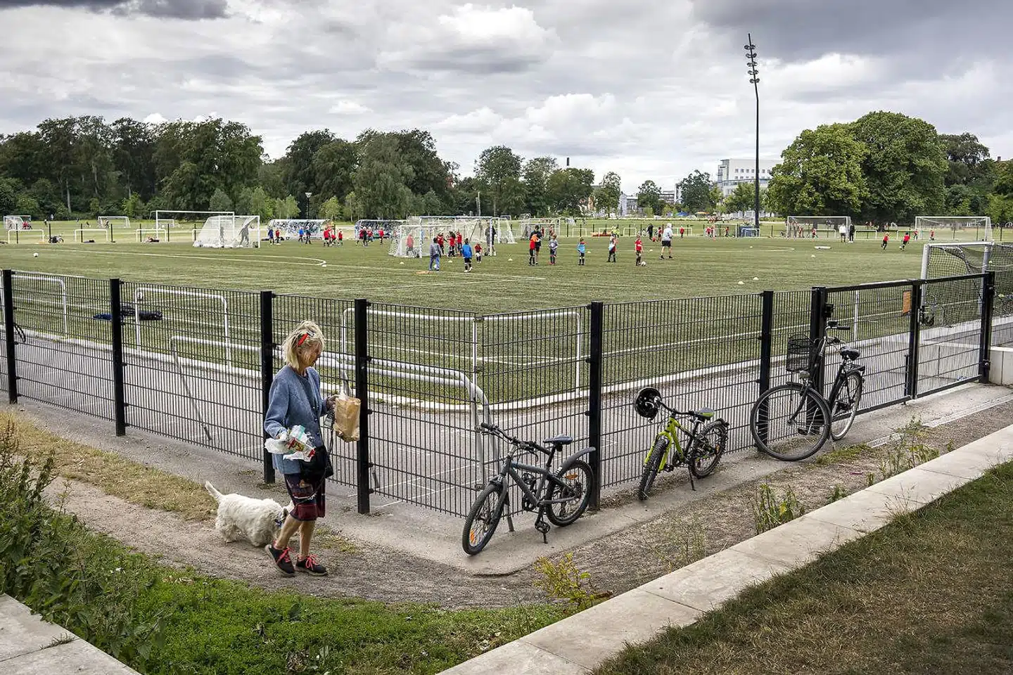 Østerbro er hjemsted for de tryggeste københavnere, men det er ikke den bydel, hvor der bliver begået mindst af den såkaldte borgervendte kriminalitet.
