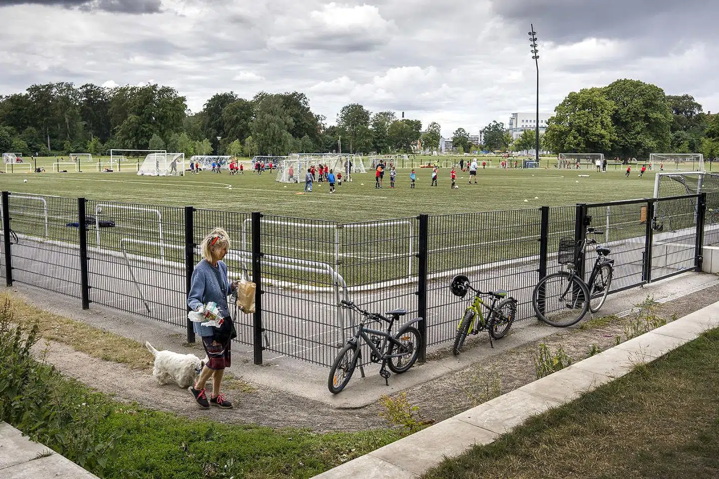 Østerbro er hjemsted for de tryggeste københavnere, men det er ikke den bydel, hvor der bliver begået mindst af den såkaldte borgervendte kriminalitet.