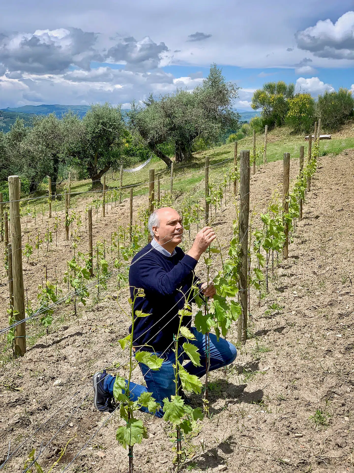 En del af den 20.000 kvadratmeter store grund har Anders Pedersen plantet til med vinstokke, og han håber måske allerede i år at få gang i en lille vinproduktion, bare til eget brug.