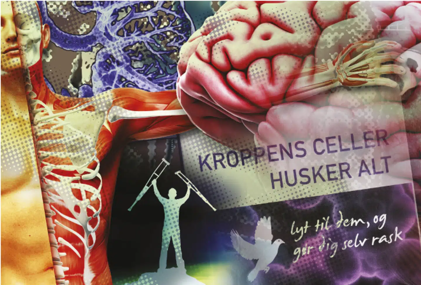 Alternative behandlere skal kunne dokumentere den alternative behandlings virkning, mener de Radikale. Socialdemokratiet mener i stedet, at området har brug for større gennemsigtighed i forhold til, hvem der er registreret i RAB-ordningen.