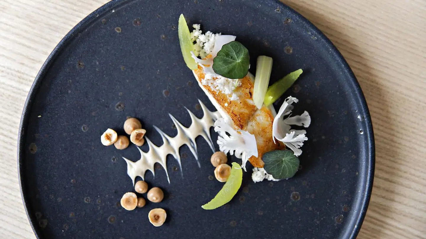 Stegt pighvar serveres med blomkål og ristede hasselnødder.