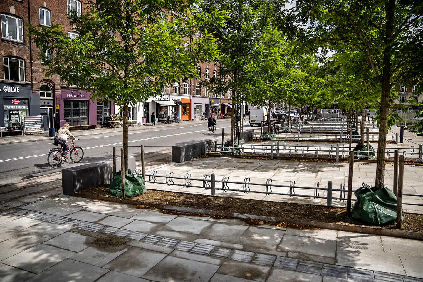 Cykelparkering og robinierækken danner barriere mod trafikken.