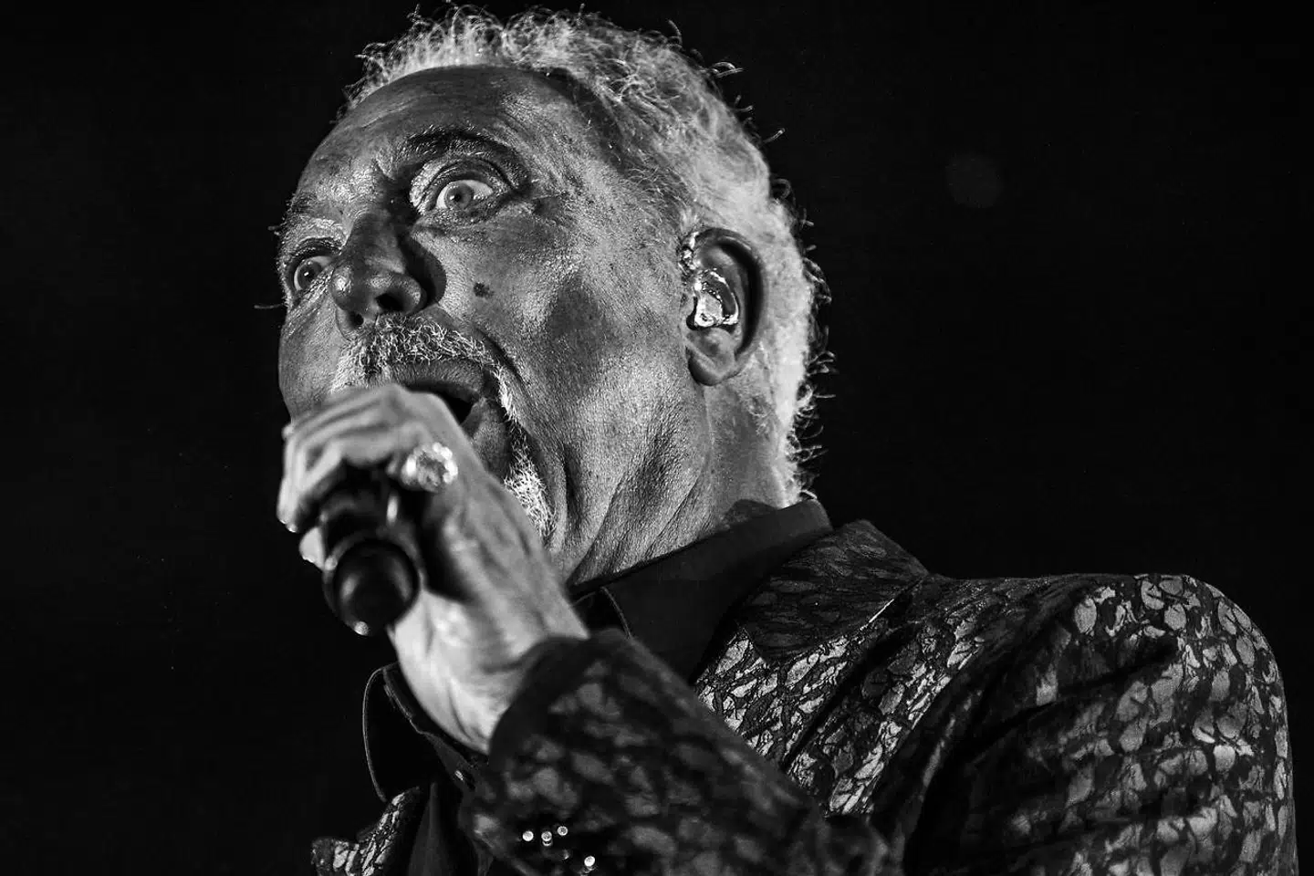 »What's New Pussycat?« Ikke ret meget. Men dét, der var, var godt nok.