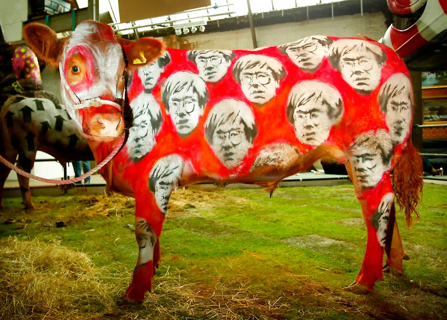 En rødmalet ko med billeder af den amerikanske kunstner Andy Warhol var en del af Banksys udstilling Turf War, der fandt sted i London 17. juli 2003.