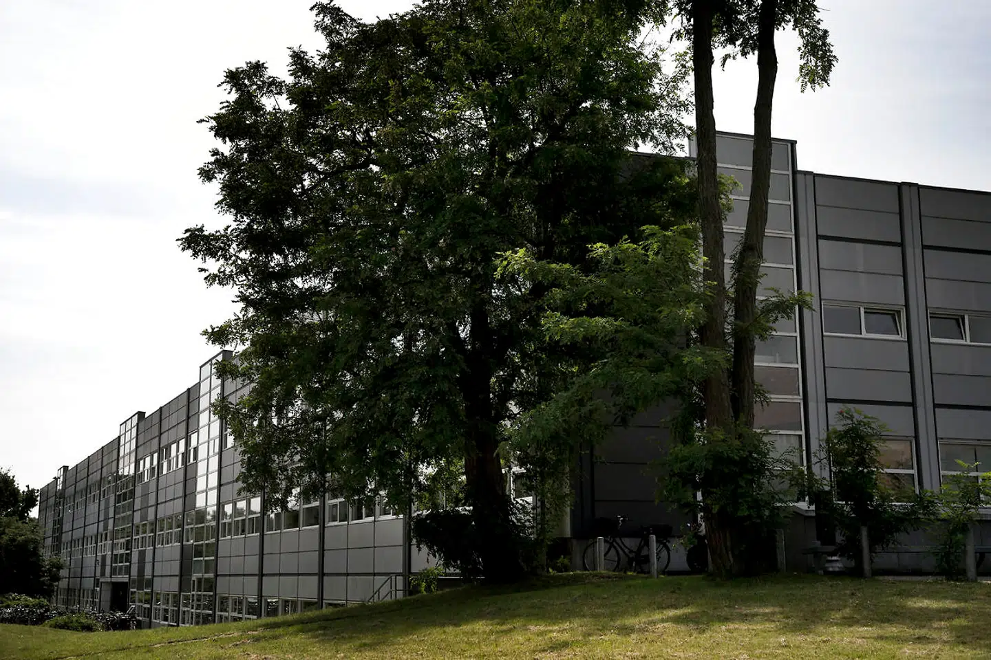 Navnlig de sidste dage inden juleferien 2016 var der travlhed hos erhvervshuset, der holder til på Østerbro i København. Her fandt henvisningerne i flere tilfælde sted med ganske få øjeblikkes mellemrum.