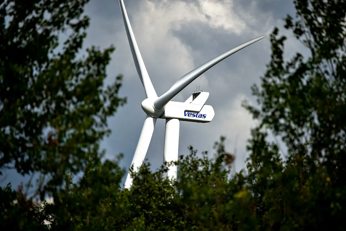 Vestas er kommet langt fra sit lavpunkt i 2012, hvor aktien blev handlet i en kurs på 24 kroner. Foto: Henning Bagger/Ritzau Scanpix