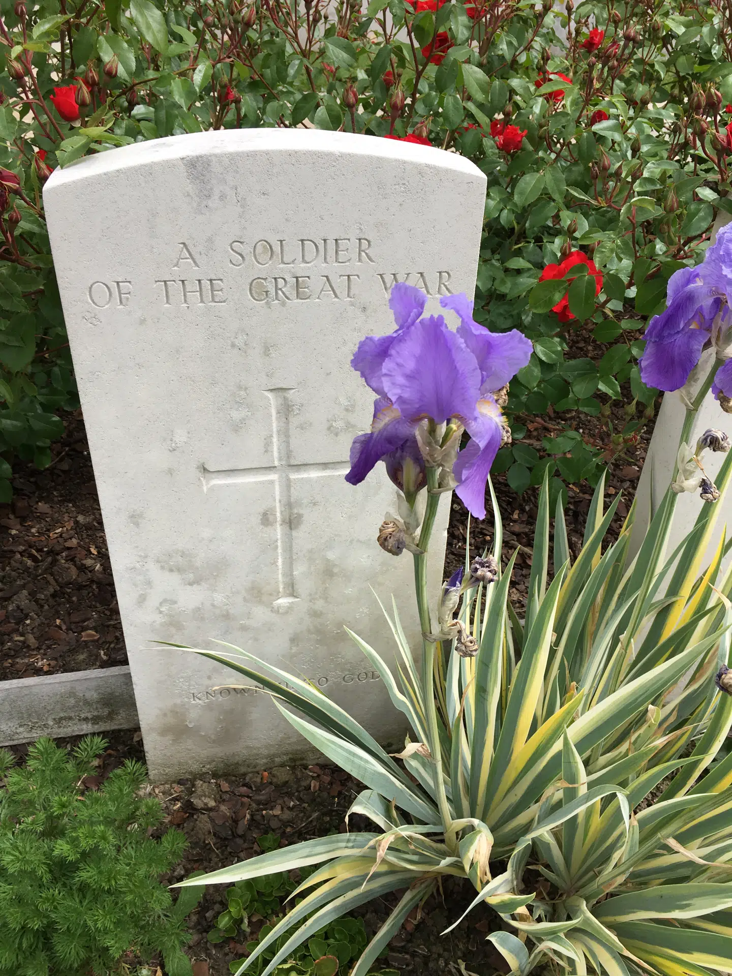 På Tyne Cot-kirkegården er det blot en fjerdedel af de 12.000 begravede soldater, der er identificeret. Foto: Peter Christiansen