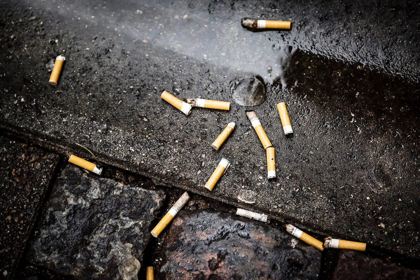Københavns Kommune prøver igen at få byens brugere til anvende skraldespandene til deres cigaretskod.