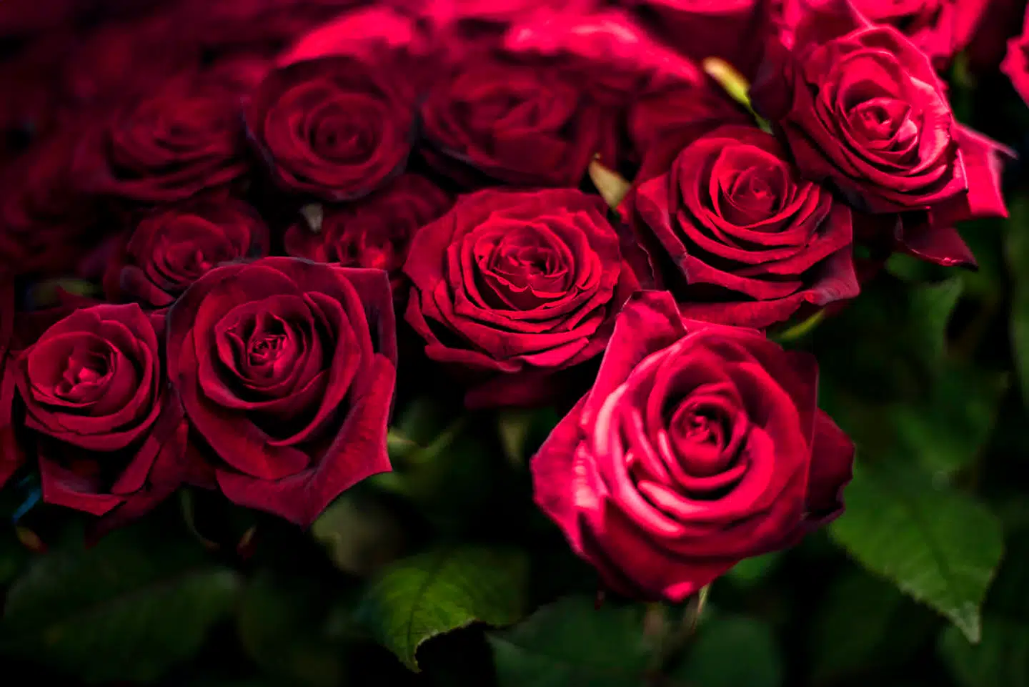 Frygten for afvisning kan komme til udtryk som fjendtlighed, og det kan din partner tydeligt kunne mærke, skriver Jill Byrnit, der er cand.psych.aut., ph.d. i evolutionspsykologi/komparativ psykologi.