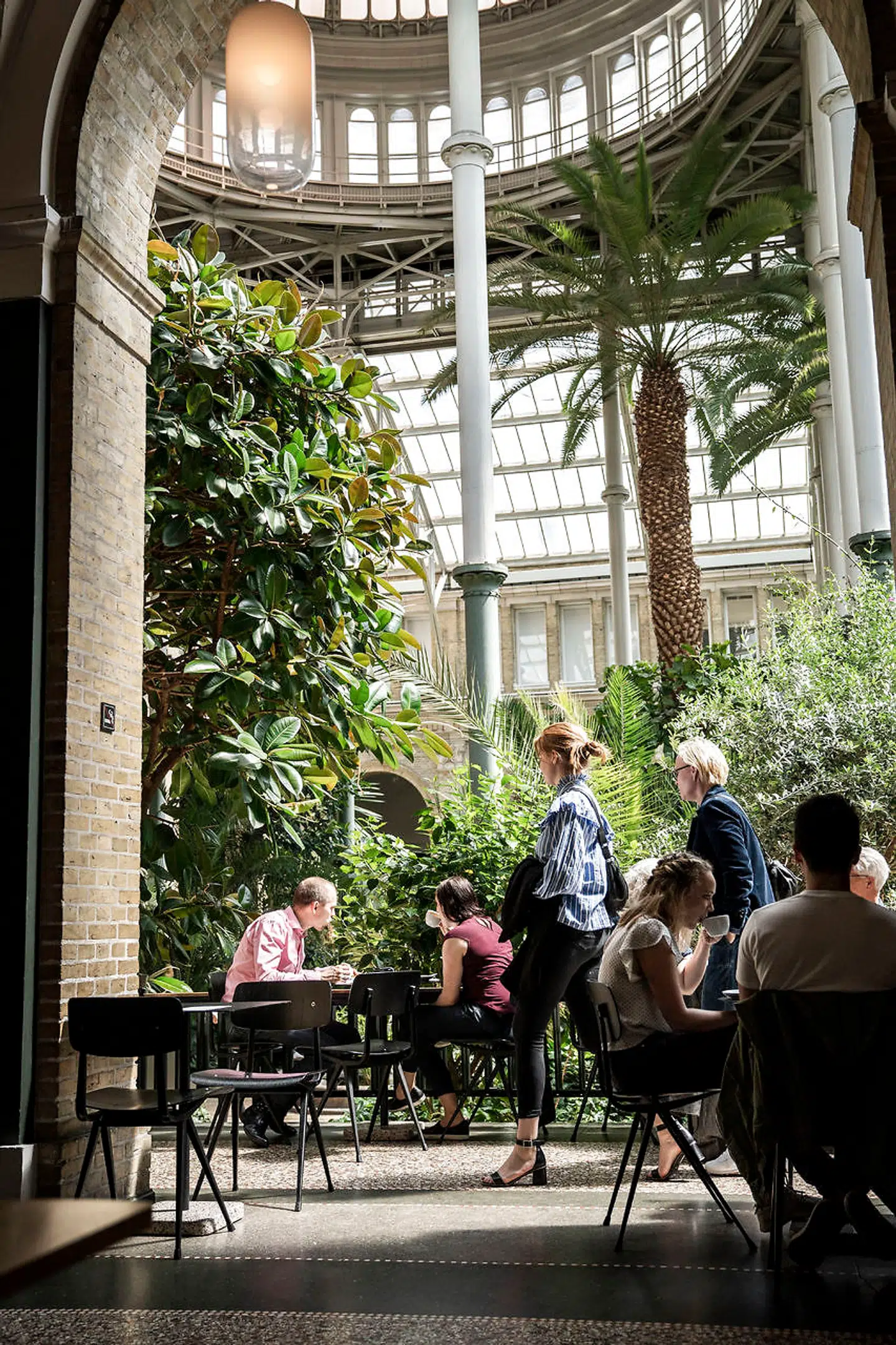Palmehaven på Glyptoteket er et af Københavns smukkeste rum