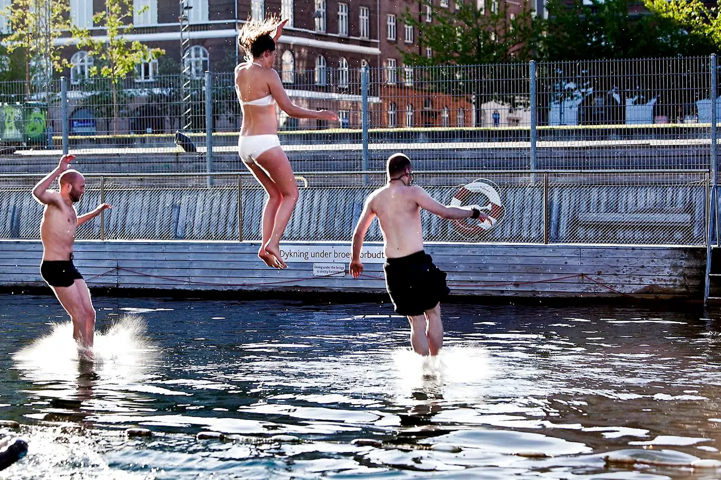 Havnebadet på Islands Brygge.