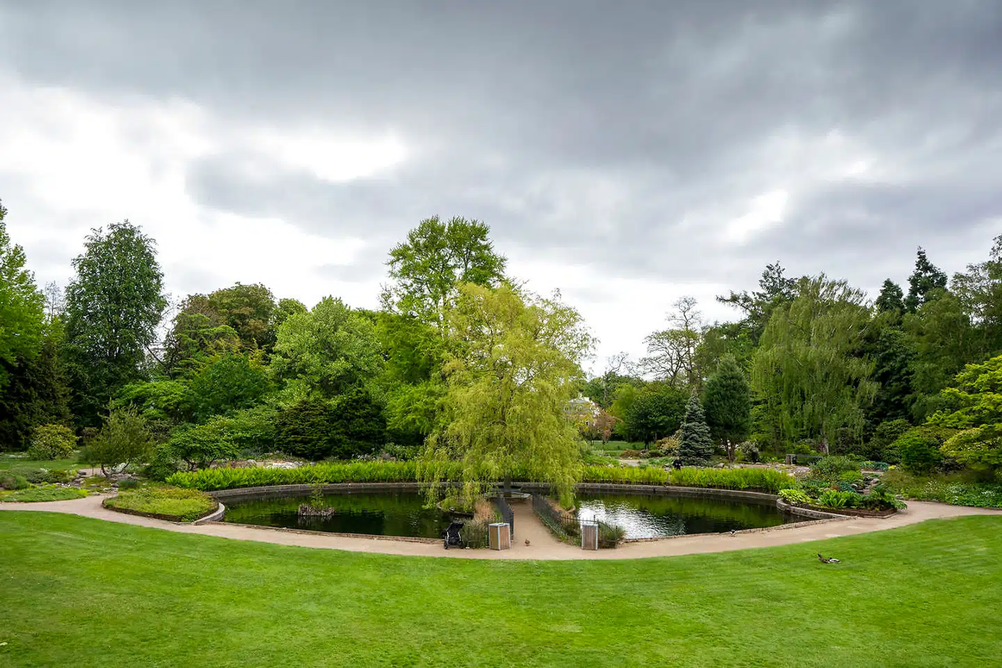 Landbohøjskolens have er opdelt i flere sektioner – og centralt i en af dem ligger en lille sø.