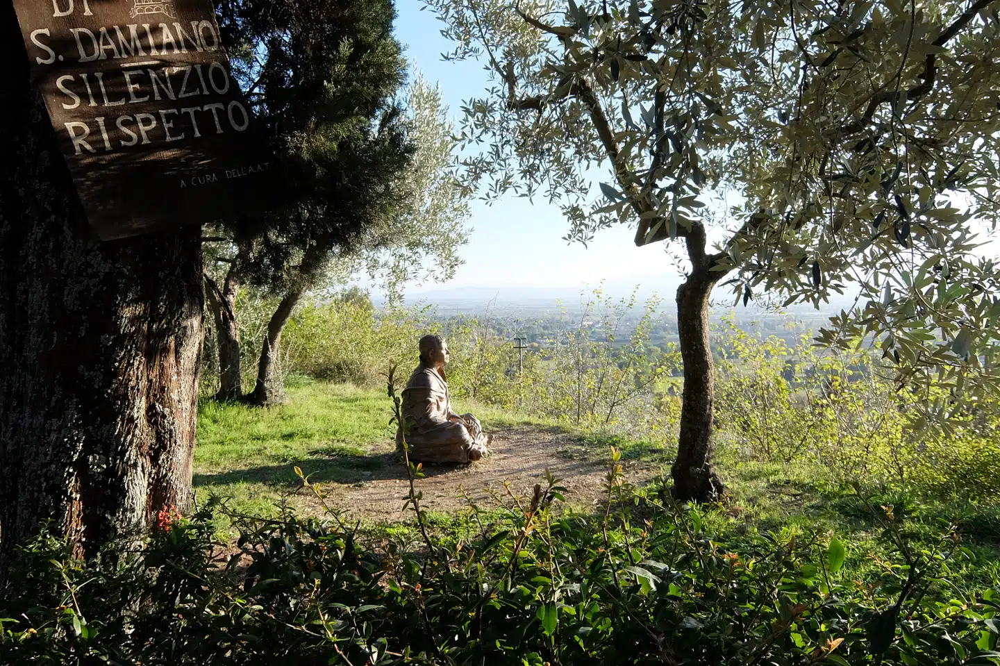 Frans af Assisi, »Solsangens« forfatter, mellem oliventræerne foran San Damiano. Hans kærlighedsbudskab omfattede ikke kun mennesker, men alle levende væsener, naturen i sin helhed, som det kommer til udtryk »Solsangen«. Af samme grund er han i dag bliver gjort til bannerfører for økologisk bæredygtighed, et centralt aspekt i Jørgen Johansens bog om Frans af Assisi.