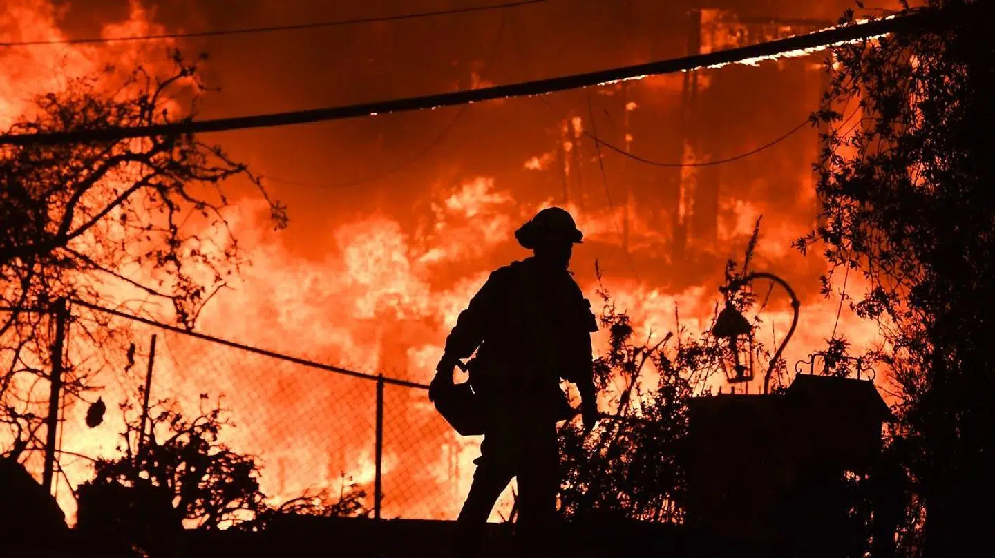 På dette fotografi fra 9. novbember 2018 ses brandmænd forsøge at bekæmpe skovbrandene langs Californiens Pacific Coast Highway i Malibu.