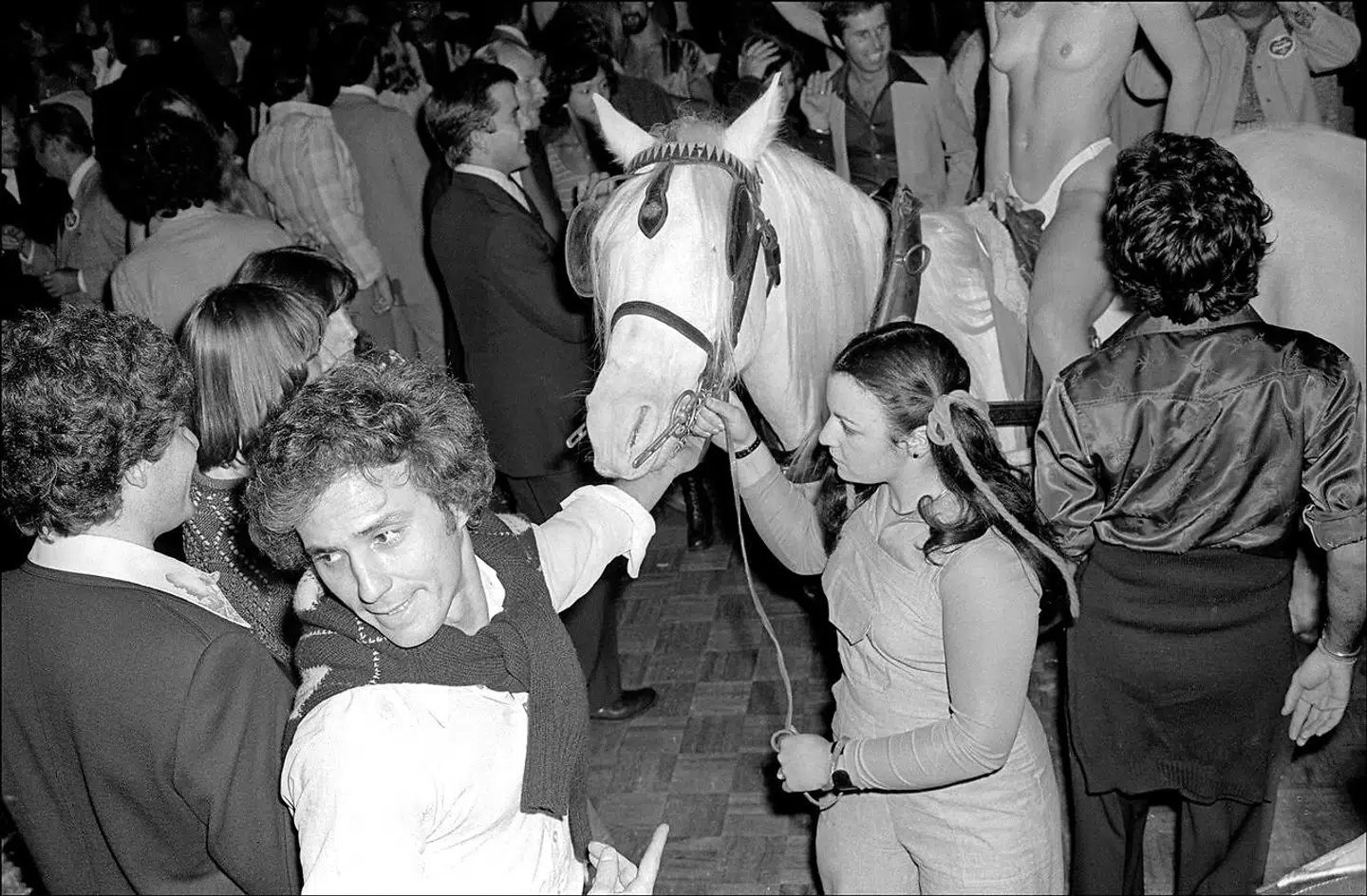 Alt kunne ske på legendariske Studio 54 på Manhattan. Her er en hest kommet med på dansegulvet - naturligvis med et par bare bryster på ryggen
