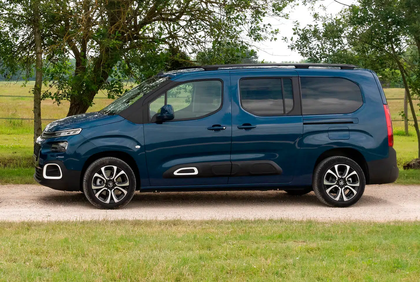 Som abortskeptiker og fortaler for kernefamilien er der ingen vej uden om en rummelig Citroën Berlingo til Kristendemokraternes formand. Men gerne med tonede ruder, så børnene bagi skærmes for al den offentlige nøgenhed, der hersker i 2019.