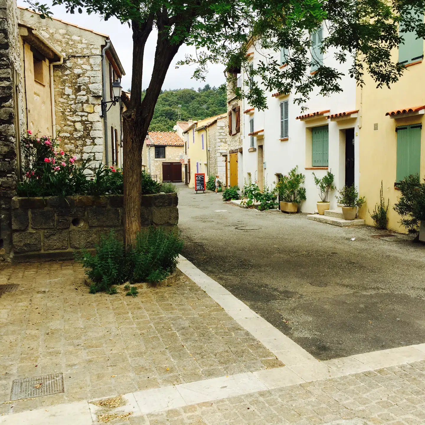 Fayence er det oplagte sted at nyde en frokost.