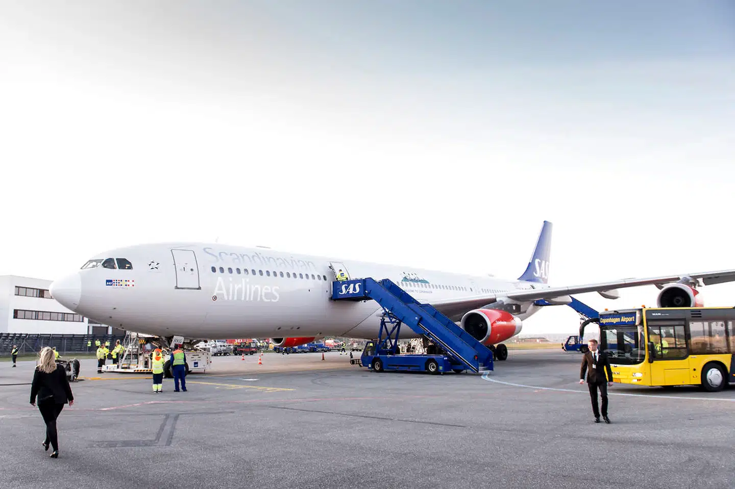 SAS-aktien er nu faldet 33 pct. siden nytår. Foto: Mads Claus Rasmussen/Ritzau Scanpix