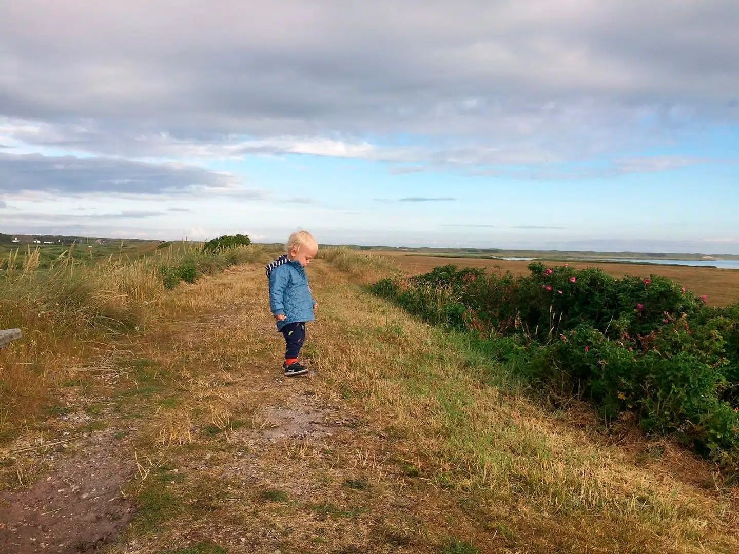 Til venstre ligger Aggers sommerhusområde, til højre ligger Flade Sø og i horisonten lurer Vesterhavet. I forgrunden er en lille fyr ude at gå tur på Diget.