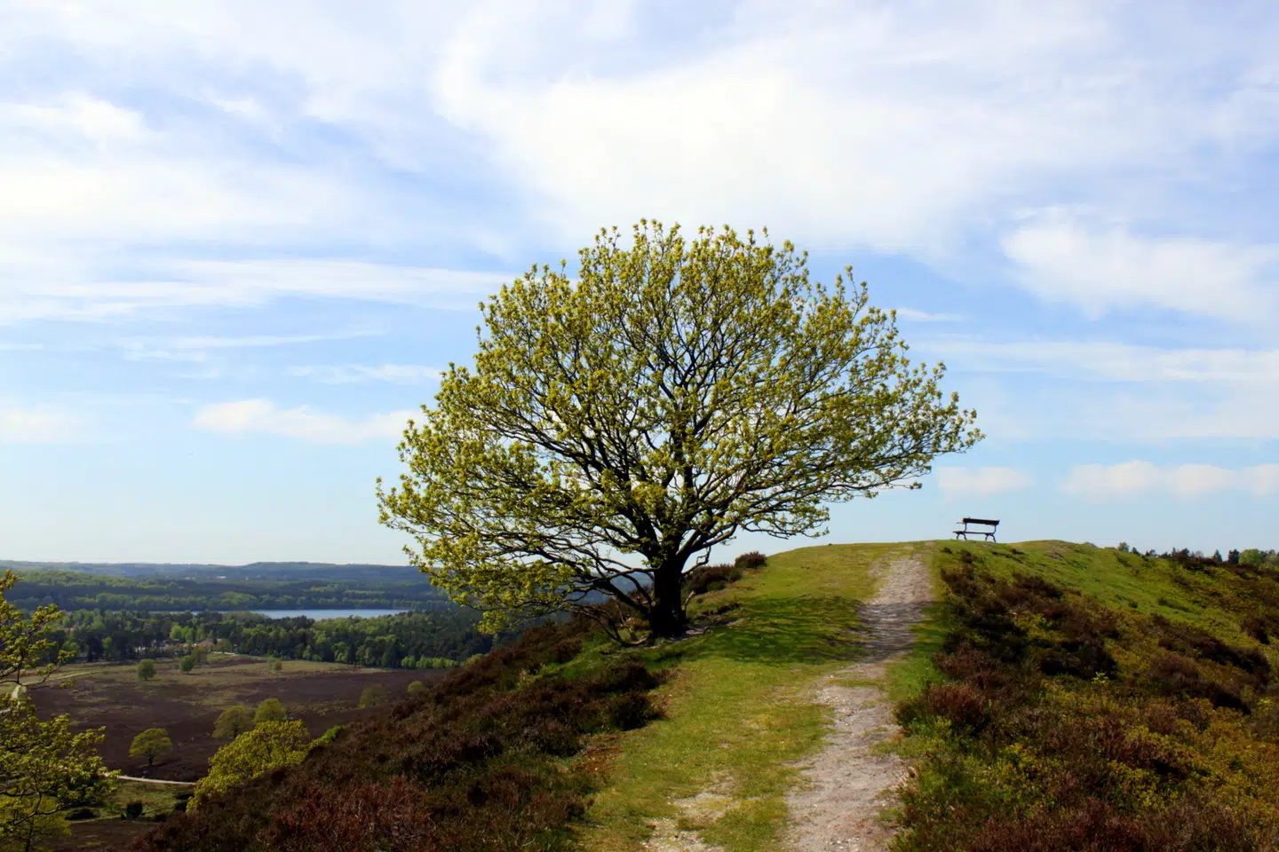 På Sindbjerg og Stoubjerg er et af de mindre kendte steder i Søhøjlandet. Tag et hvil på bænken, træk vejret dybt og nyd udsigten.