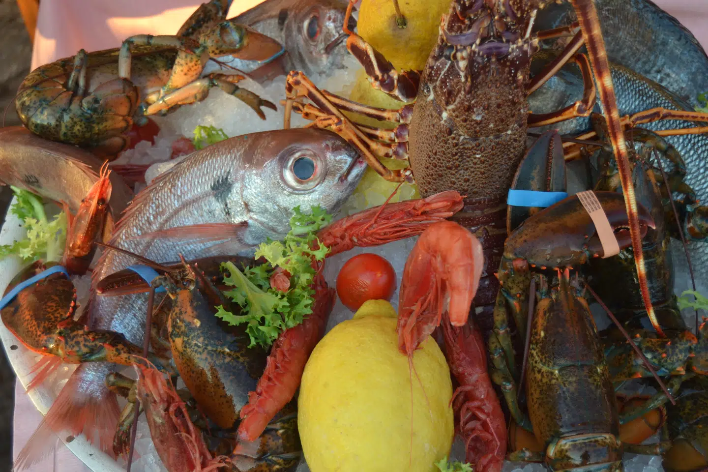 Der vanker hjemmelavet pasta og de lækreste pizzaer på Ischia – men særlig indbydende er det imponerende udbud af fisk og skaldyr.