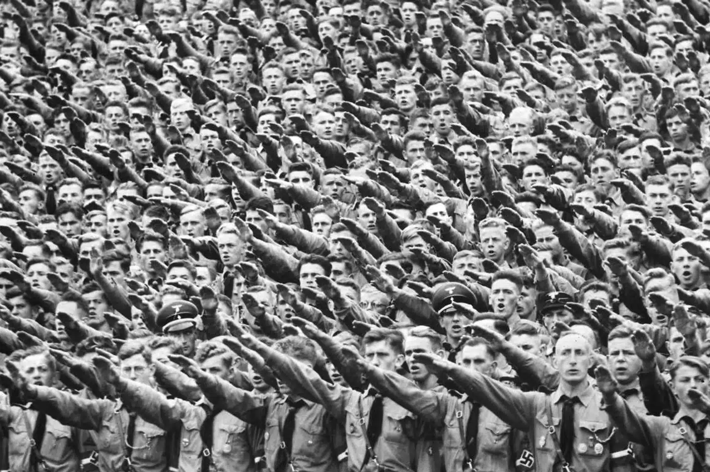 »Paludan er et nyt dyr på den politiske scene, som på rekordtid er gået fra at spille rollen som excentrisk Youtube-pauseklovn for de yngre til succesfuld folketingskandiderende partiformand. Så måske kunne han være, hvis ikke Hitler, så måske Hitler-light, der kunne lokke et befolkningsflertal ned ad en glidebane, der ender med de Nürnberg-lignende love og massedeporationer, som han drømmer om?«