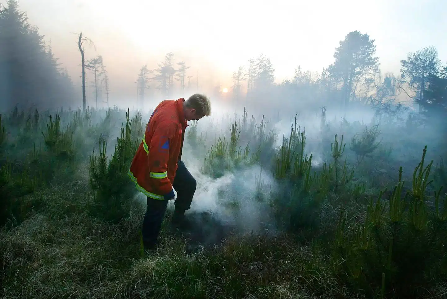 Et valgtog har sat gang i flammerne flere steder i jylland. Billedet er taget i forbindelse med en skovbrand i Thy sidste år.