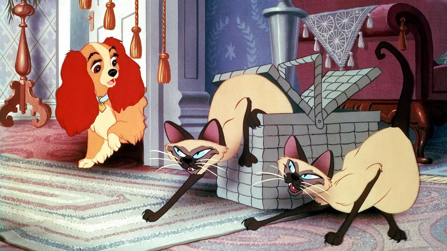 Lady sammen med de to siamesiske katte, der bliver fjernet i den nye film for ikke at krænke asiater. Scanpix.