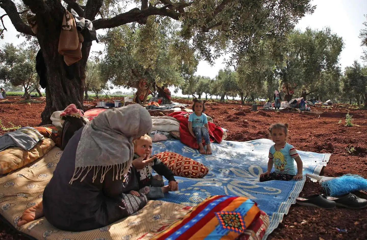 Internt fordrevne søger ly under et oliventræ i en landsby tæt på Syriens grænse til Tyrkiet. Bombardementer fra regimet og Rusland har drevet hundredtusinder på flugt den seneste uge.