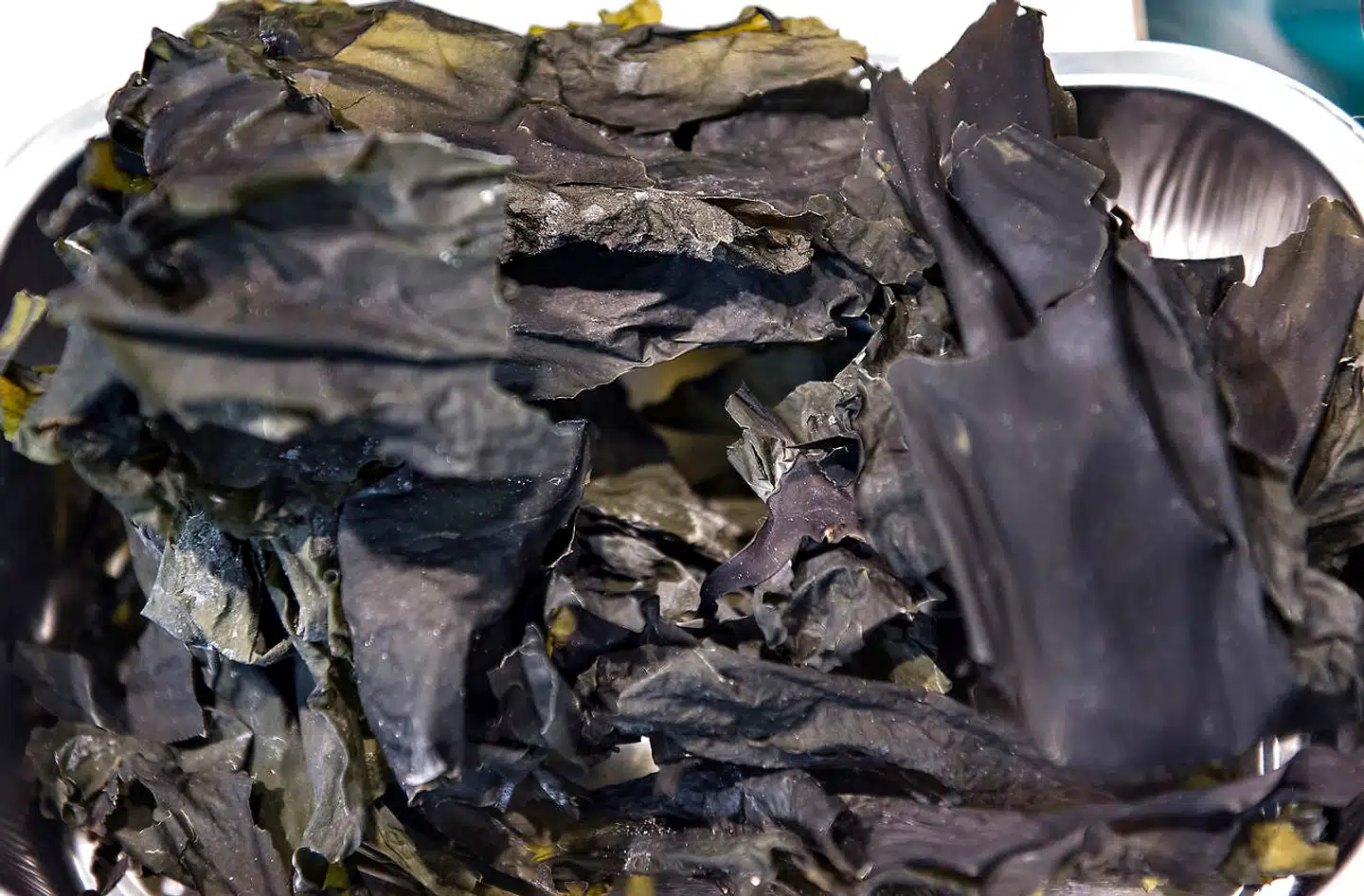 Danmark kan drage nytte af store havområder til at dyrke tang, lyder det i et af dagens læserbreve.