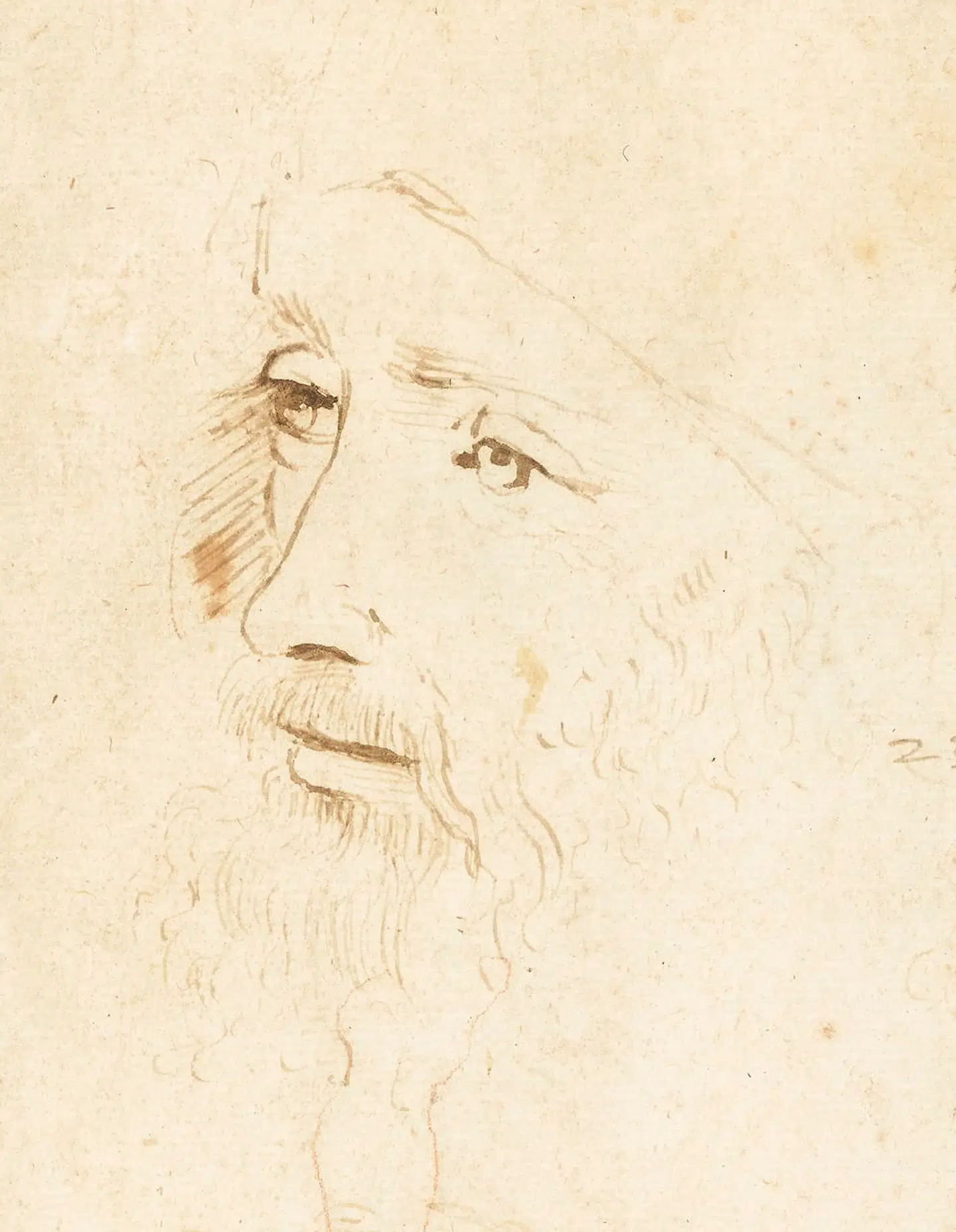 Et portrætstudie af Leonardo da Vinci, c.1517-18, af en af Leonardos assistenter.