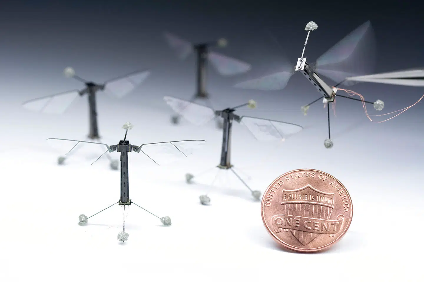 Det her er nogle seks år gamle minirobotter på størrelse med en lille, amerikansk mønt. Allerede nu har forskere lavet minirobotter, der er endnu mindre.