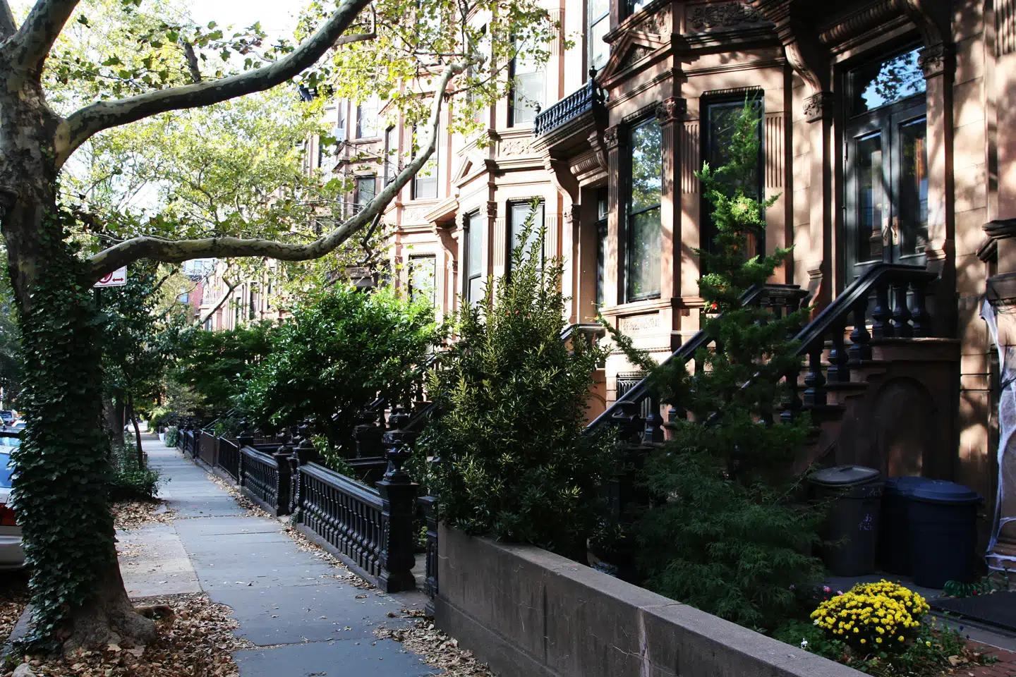 Mange kvarterer i Brooklyn ligner det gamle New York på Manhattan, inden banker og tøjbutikker tog over.