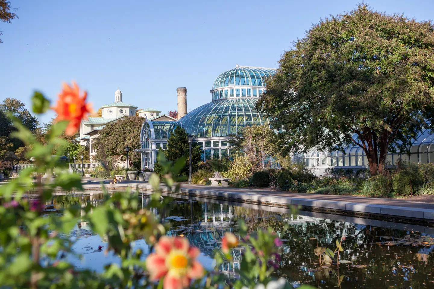 Brooklyn Botanical Garden er en grøn og blomstrende oase, som står i fuldt flor i sommerhalvåret.