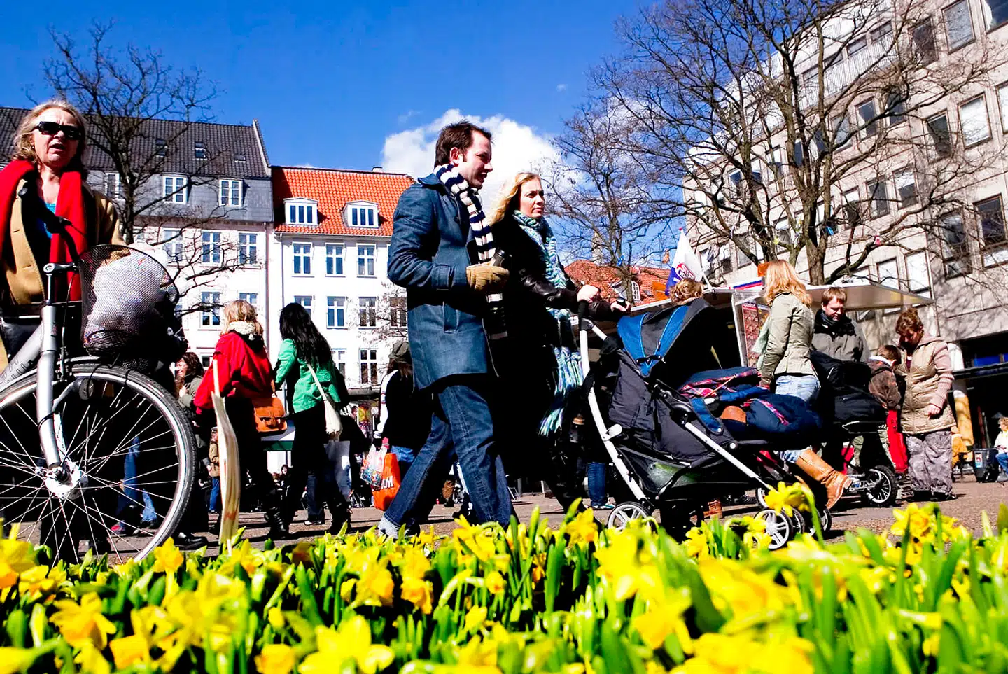 Ifølge OECD vokser den danske middelklasse og er blandt de største i Europa i forhold til befolkningen. Arkivfoto: Anders Birger Schjørring/Ritzau Scanpix