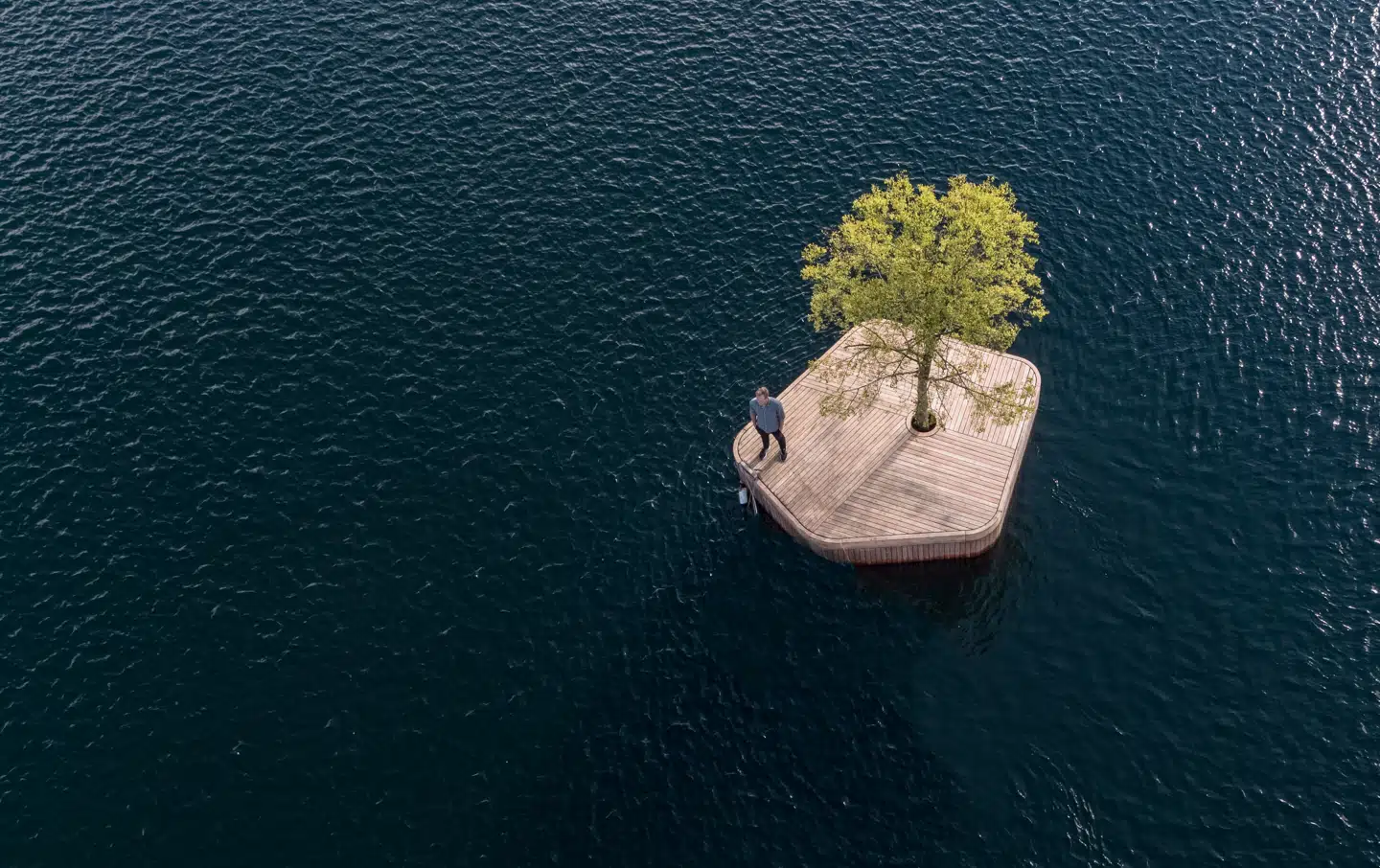 Den øde ø er 25 kvadratmeter med et seks meter højt lindetræ i midten får måske snart selskab.