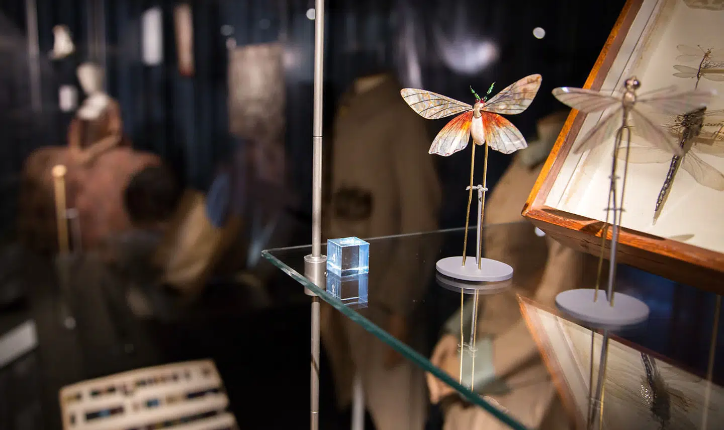 Særudstillingen Fashioned from Nature, Statens Naturhistoriske Museum.